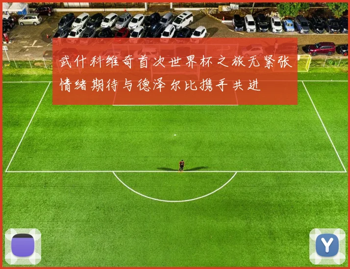 武什科维奇首次世界杯之旅无紧张情绪期待与德泽尔比携手共进
